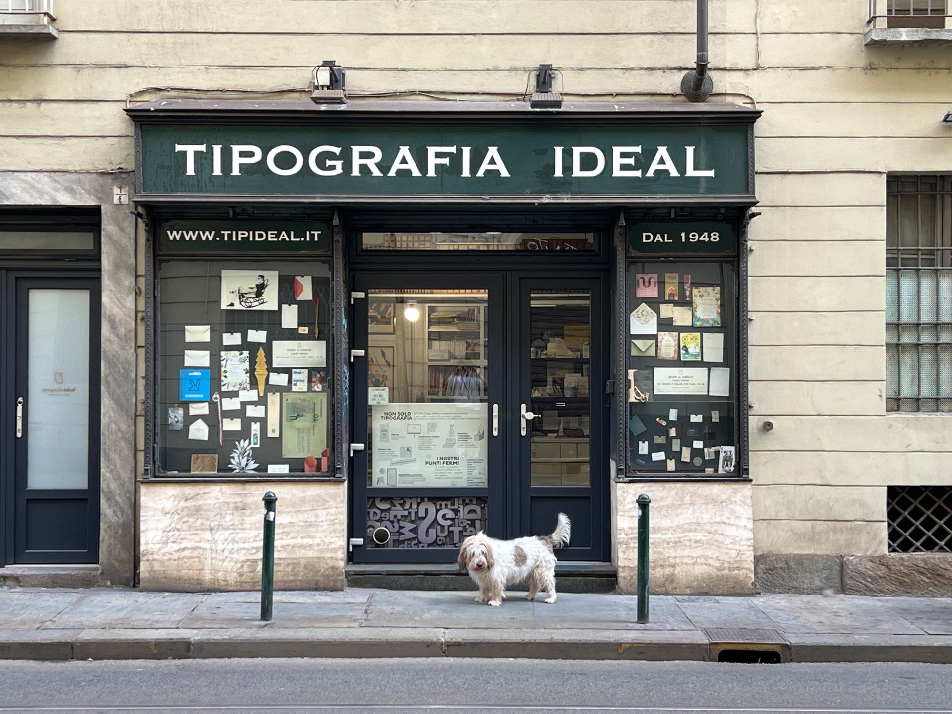 Ideal Network